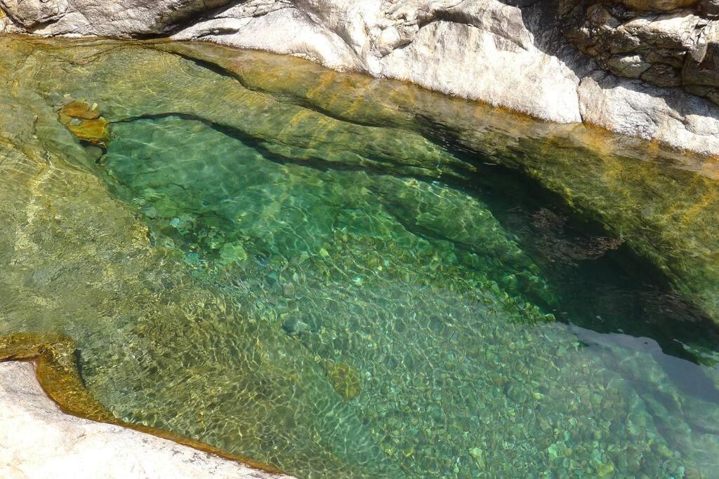 Le Capu Biancu-Location Avec Vue Proche Des Gorges De L Asco Entre Mer Et Montagne Moltifao Buitenkant foto
