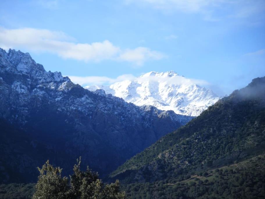 Le Capu Biancu-Location Avec Vue Proche Des Gorges De L Asco Entre Mer Et Montagne Moltifao Buitenkant foto